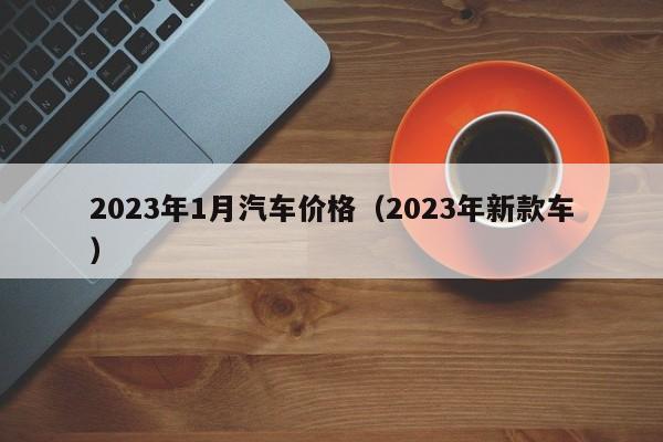 2023年1月汽车价格（2023年新款车）