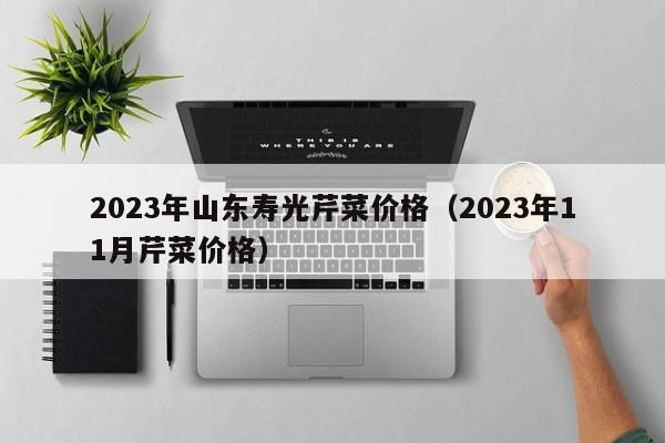 2023年山东寿光芹菜价格（2023年11月芹菜价格）