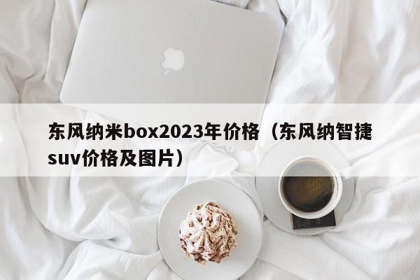 东风纳米box2023年价格（东风纳智捷suv价格及图片）