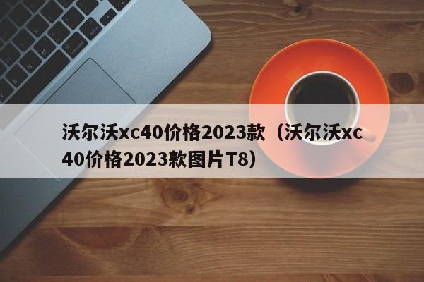 沃尔沃xc40价格2023款（沃尔沃xc40价格2023款图片T8）