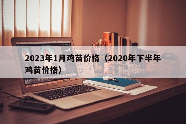 2023年1月鸡苗价格（2020年下半年鸡苗价格）