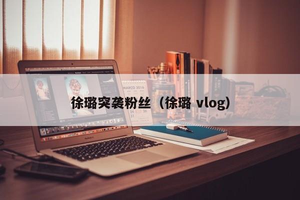 徐璐突袭粉丝（徐璐 vlog）