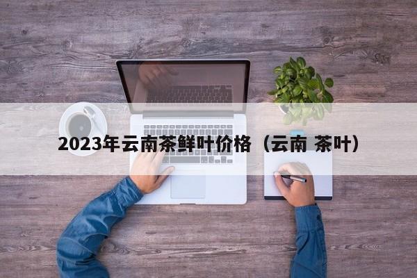 2023年云南茶鲜叶价格（云南 茶叶）