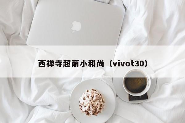 西禅寺超萌小和尚（vivot30）