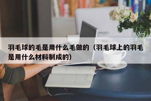 羽毛球的毛是用什么毛做的（羽毛球上的羽毛是用什么材料制成的）