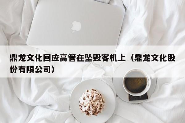 鼎龙文化回应高管在坠毁客机上（鼎龙文化股份有限公司）