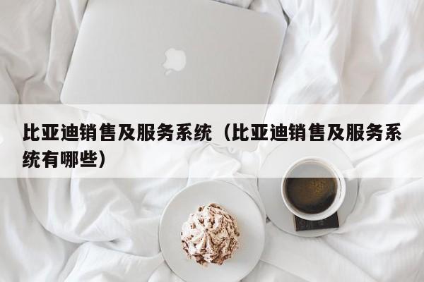 比亚迪销售及服务系统（比亚迪销售及服务系统有哪些）