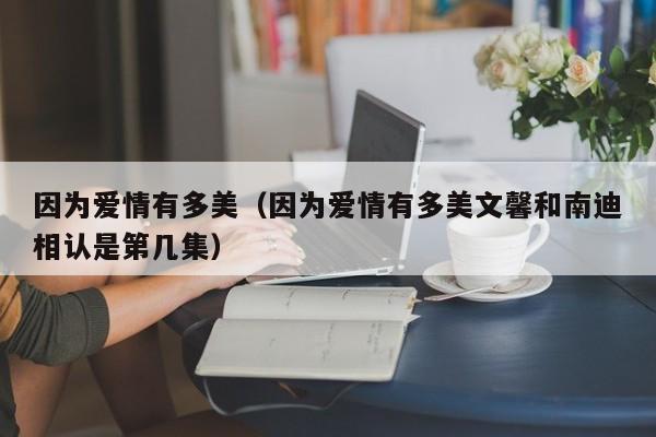 因为爱情有多美（因为爱情有多美文馨和南迪相认是第几集）