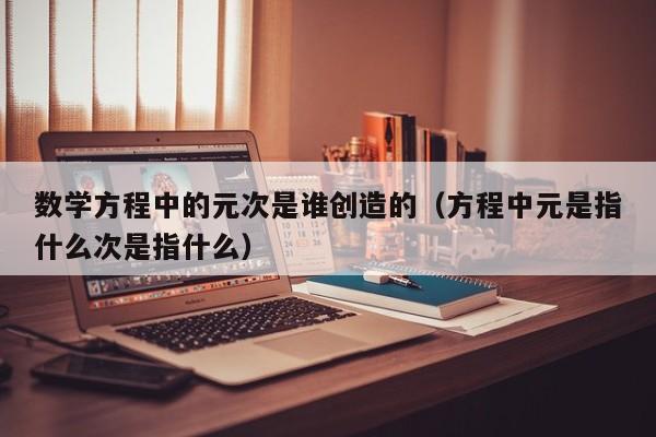 数学方程中的元次是谁创造的（方程中元是指什么次是指什么）