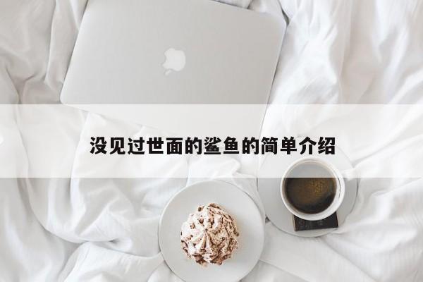 没见过世面的鲨鱼的简单介绍