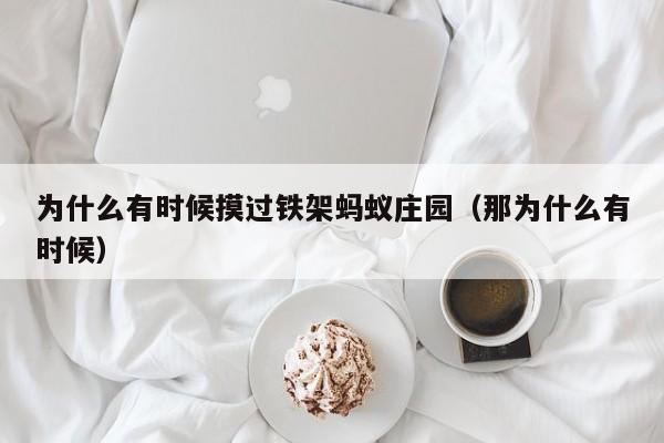 为什么有时候摸过铁架蚂蚁庄园（那为什么有时候）