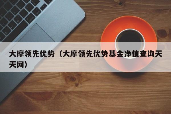 大摩领先优势（大摩领先优势基金净值查询天天网）