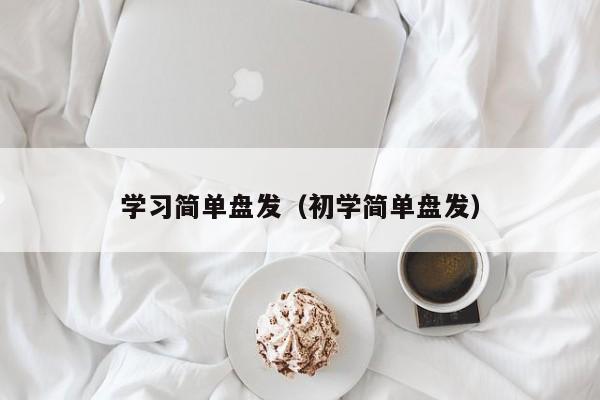 学习简单盘发（初学简单盘发）