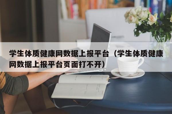 学生体质健康网数据上报平台（学生体质健康网数据上报平台页面打不开）