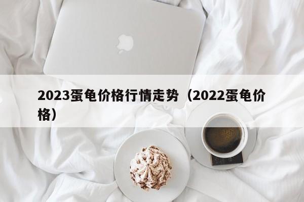 2023蛋龟价格行情走势（2022蛋龟价格）