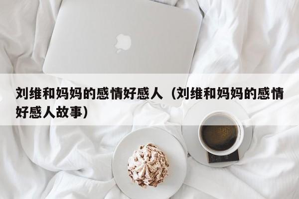 刘维和妈妈的感情好感人（刘维和妈妈的感情好感人故事）