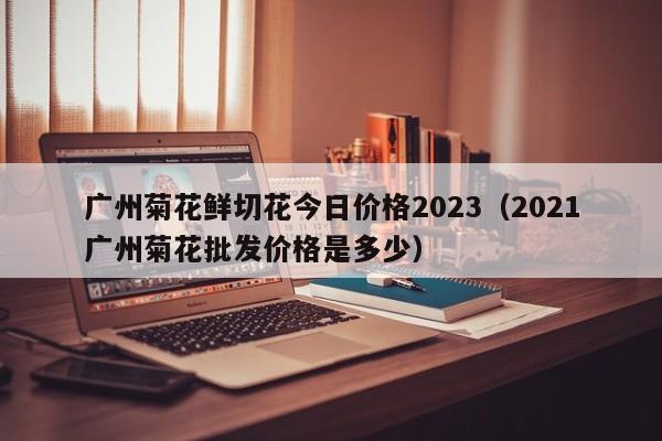 广州菊花鲜切花今日价格2023（2021广州菊花批发价格是多少）