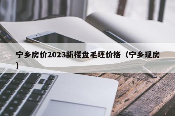 宁乡房价2023新楼盘毛坯价格（宁乡现房）