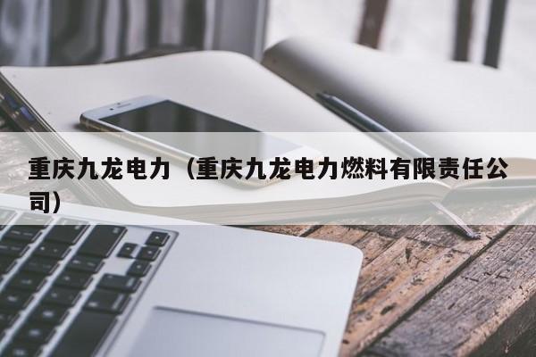 重庆九龙电力（重庆九龙电力燃料有限责任公司）