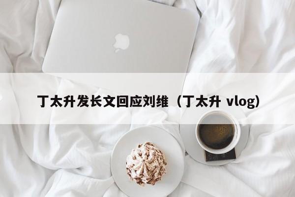 丁太升发长文回应刘维（丁太升 vlog）