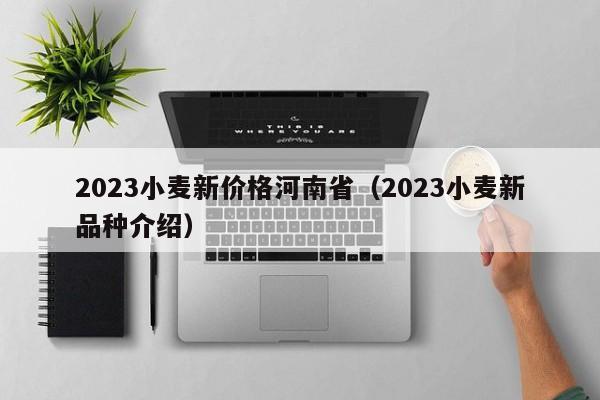 2023小麦新价格河南省（2023小麦新品种介绍）