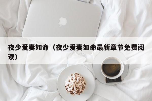 夜少爱妻如命（夜少爱妻如命最新章节免费阅读）