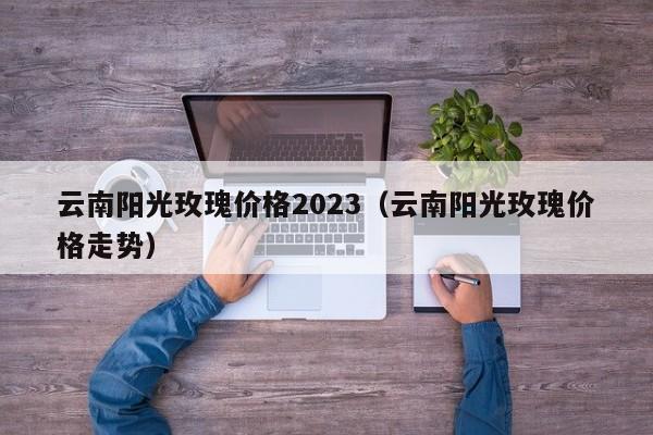 云南阳光玫瑰价格2023（云南阳光玫瑰价格走势）