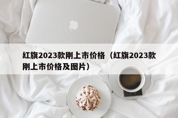 红旗2023款刚上市价格（红旗2023款刚上市价格及图片）